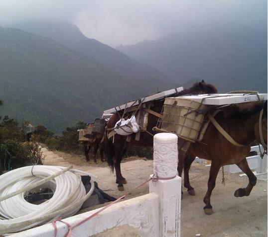 南沙区山区马帮运输