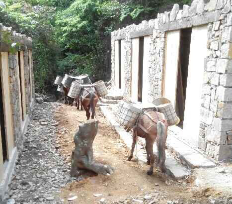 南沙区马队运输队