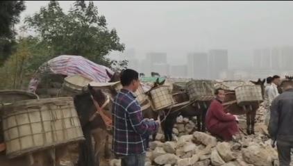 南沙区骡马山区运输