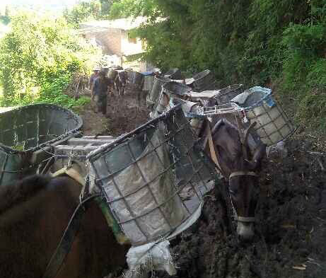 南沙区马帮搬运