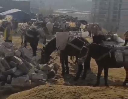 南沙区马队山路运输