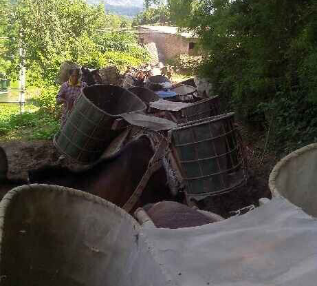 南沙区骡马运输